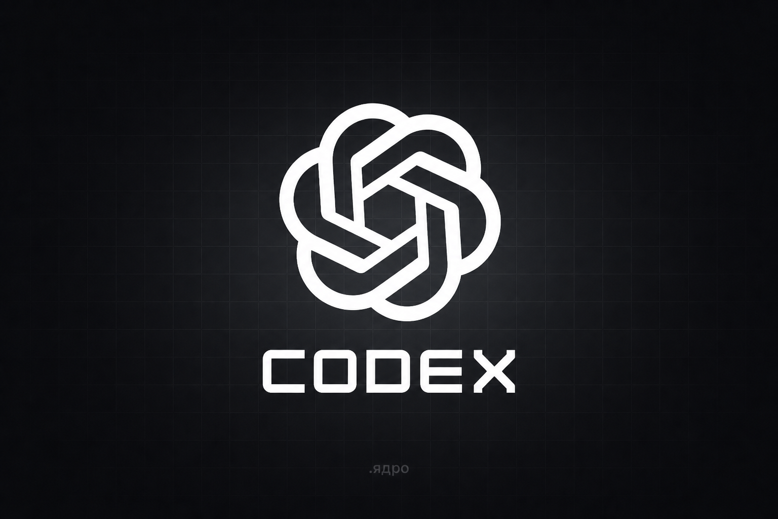codex | оценка: 8/10